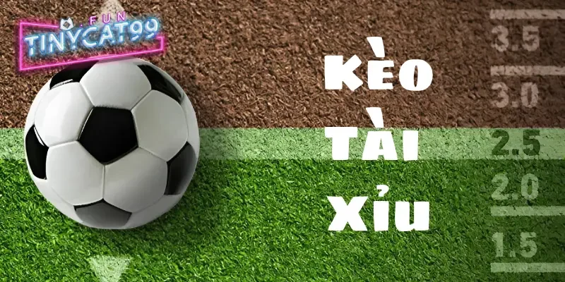 Kèo Tài Xỉu tinycat99 Và Thông Tin Hướng Dẫn Chơi Kèo Chuẩn Nhất 1 Kèo tài xỉu là gì?
