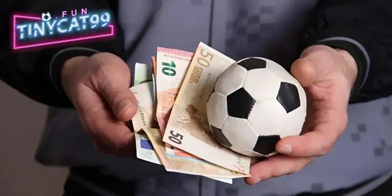 Penalty là gì? Khi nào thì xuất hiện cú đá penalty 3 Một số điều cần lưu ý khi thực hiện cú đá Penalty