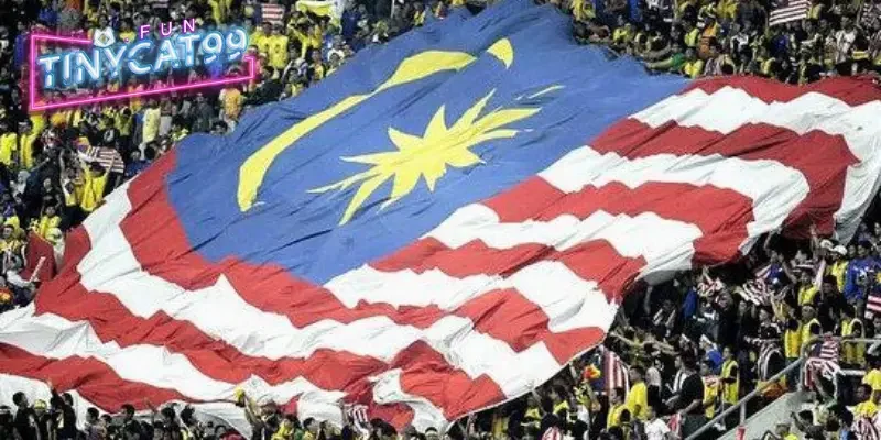 Tỷ lệ kèo Malaysia hôm nay chuẩn xác nhất 3 Tỷ lệ kèo malaysia tính tiền như thế nào?